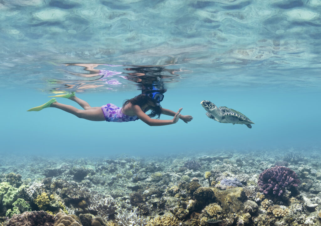Tourism Fiji - snorkelling in Fiji