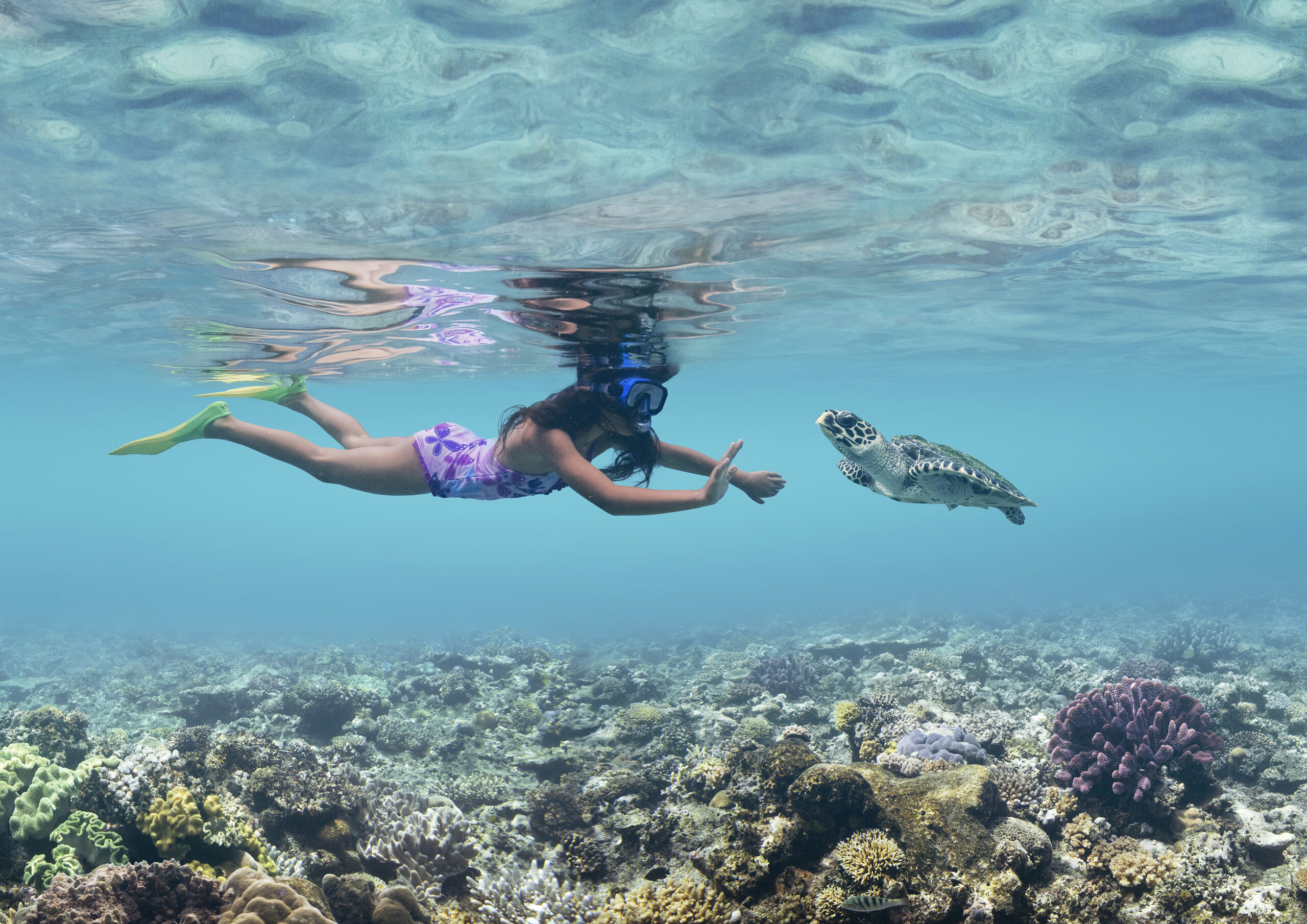 Tourism Fiji - snorkelling in Fiji