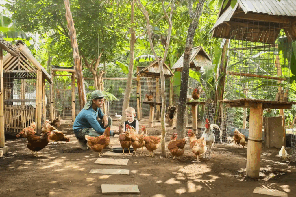 Padma Resort Legian - Mini farm