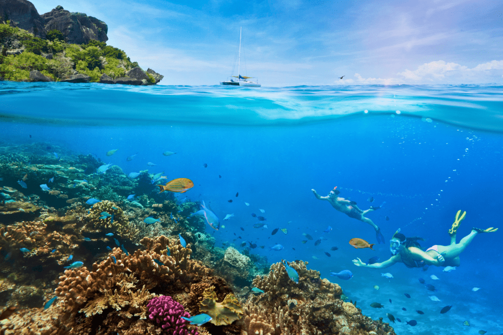 A couple snorkelling off an island in Fiji